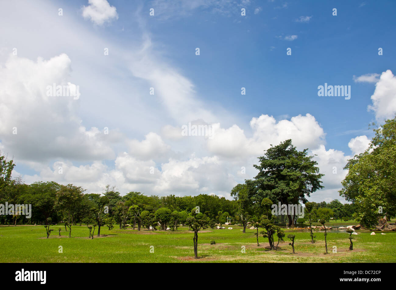 schöner Garten und blauer Himmel Stockfoto