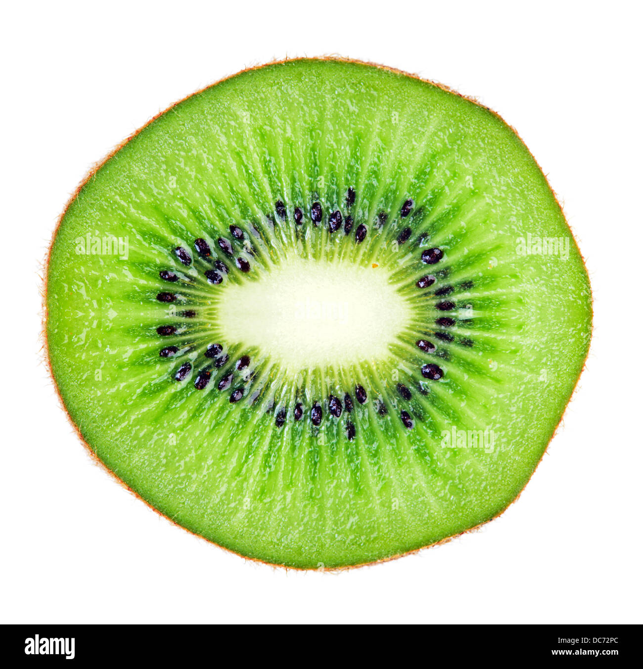 In Scheiben geschnitten saftig Kiwi Frucht Makro über weiß. Riesige Bildgröße Stockfoto
