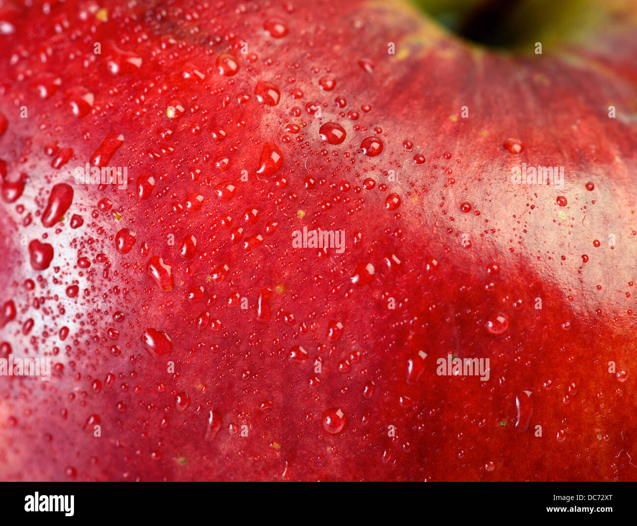 Roter Apfel Makro mit Wassertropfen für Hintergründe Stockfoto