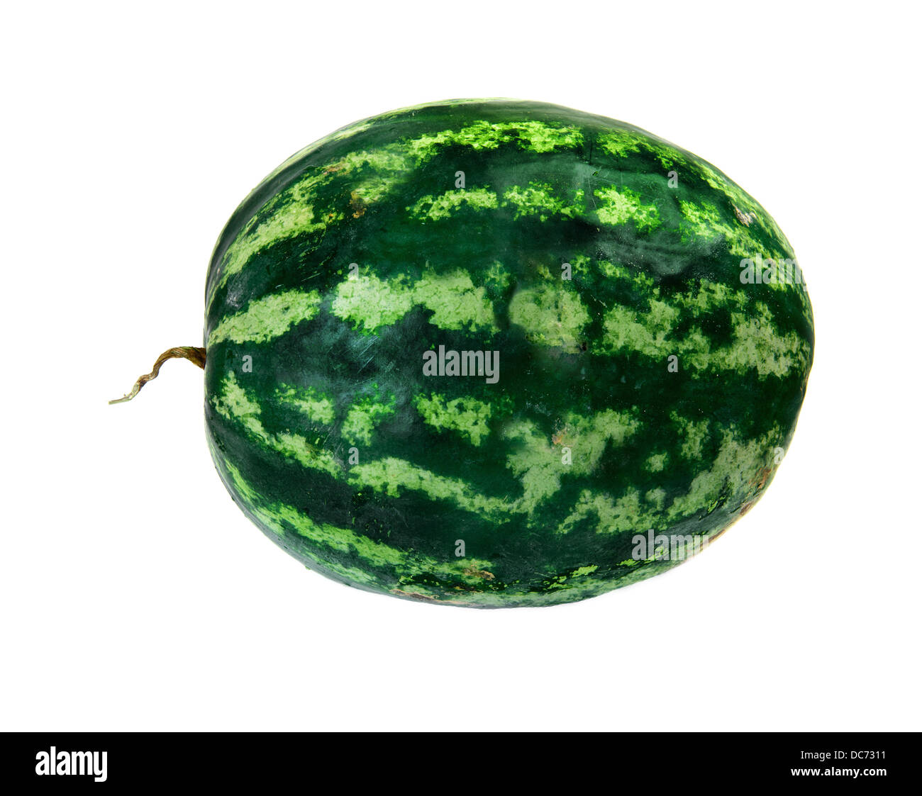 Große Wassermelone isoliert auf weiss Stockfoto