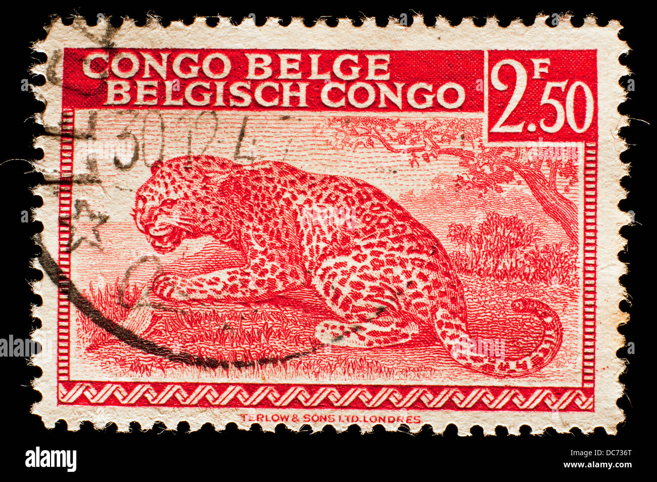 alte Briefmarke von Belgisch-Kongo Stockfoto