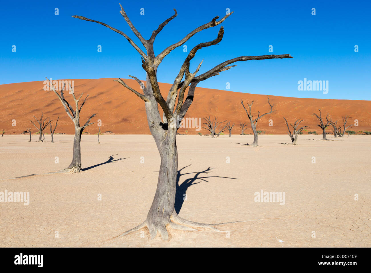 Dead Vlei, Namib-Wüste, Namibia, April 2013 Stockfoto