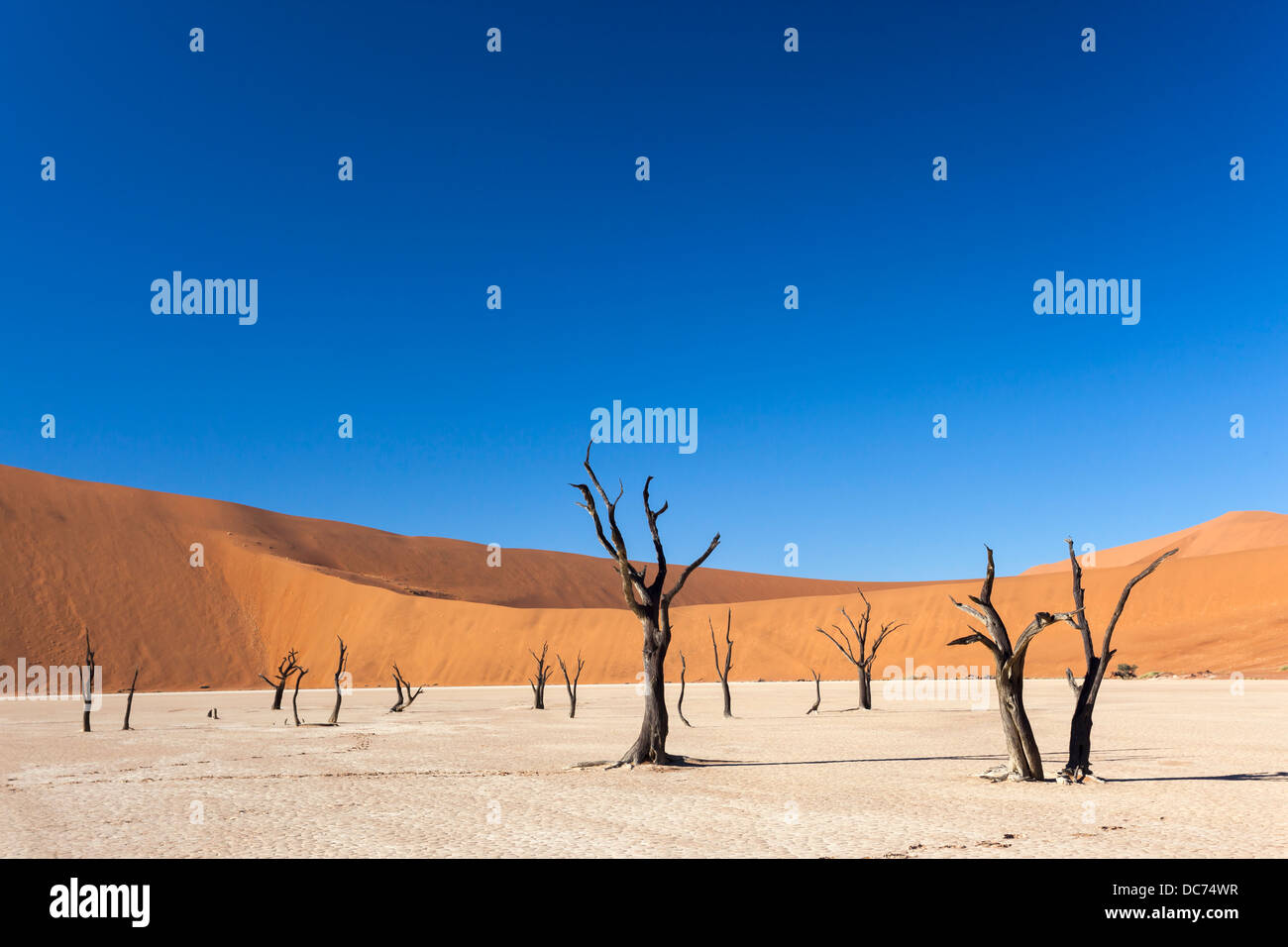 Dead Vlei, Namib-Wüste, Namibia, April 2013 Stockfoto