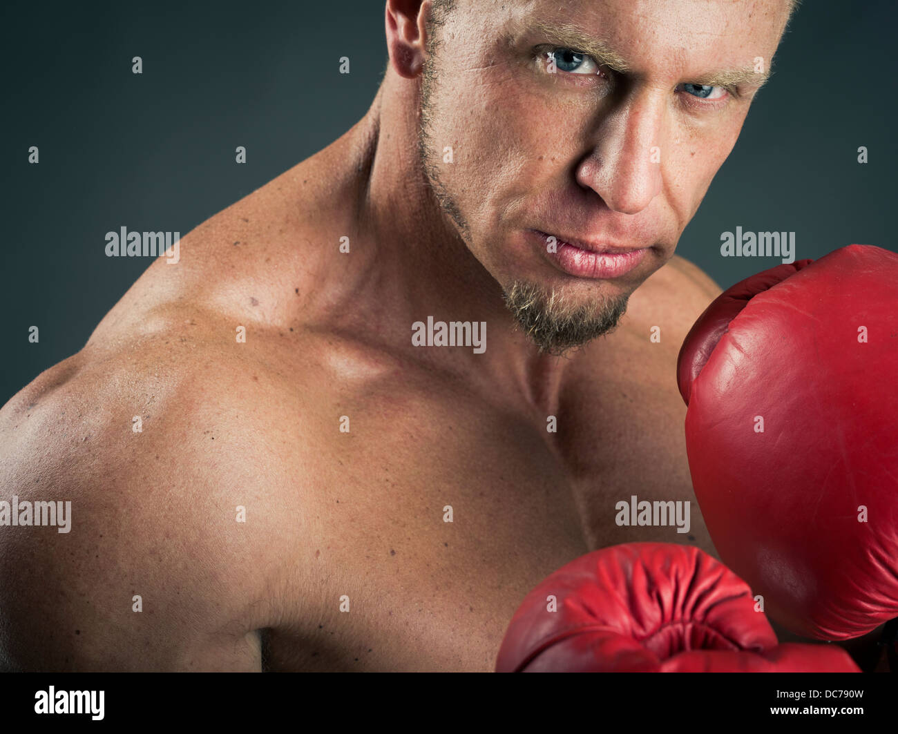 Muskuläre Schwergewichts-Boxer mit roten Boxhandschuhe Stockfoto