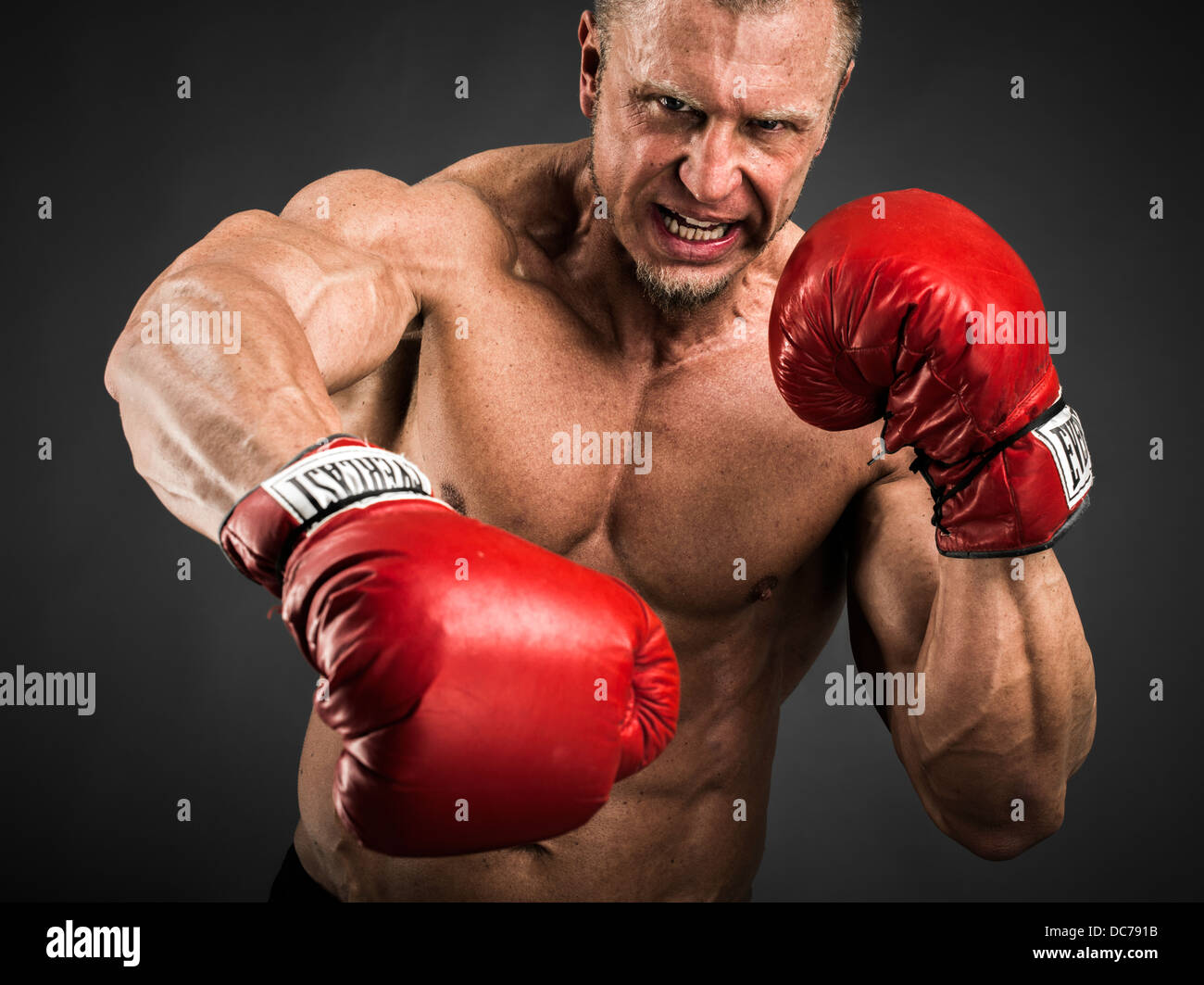 Schwergewichts-Boxer mit roten Handschuhen Stanzen Stockfoto