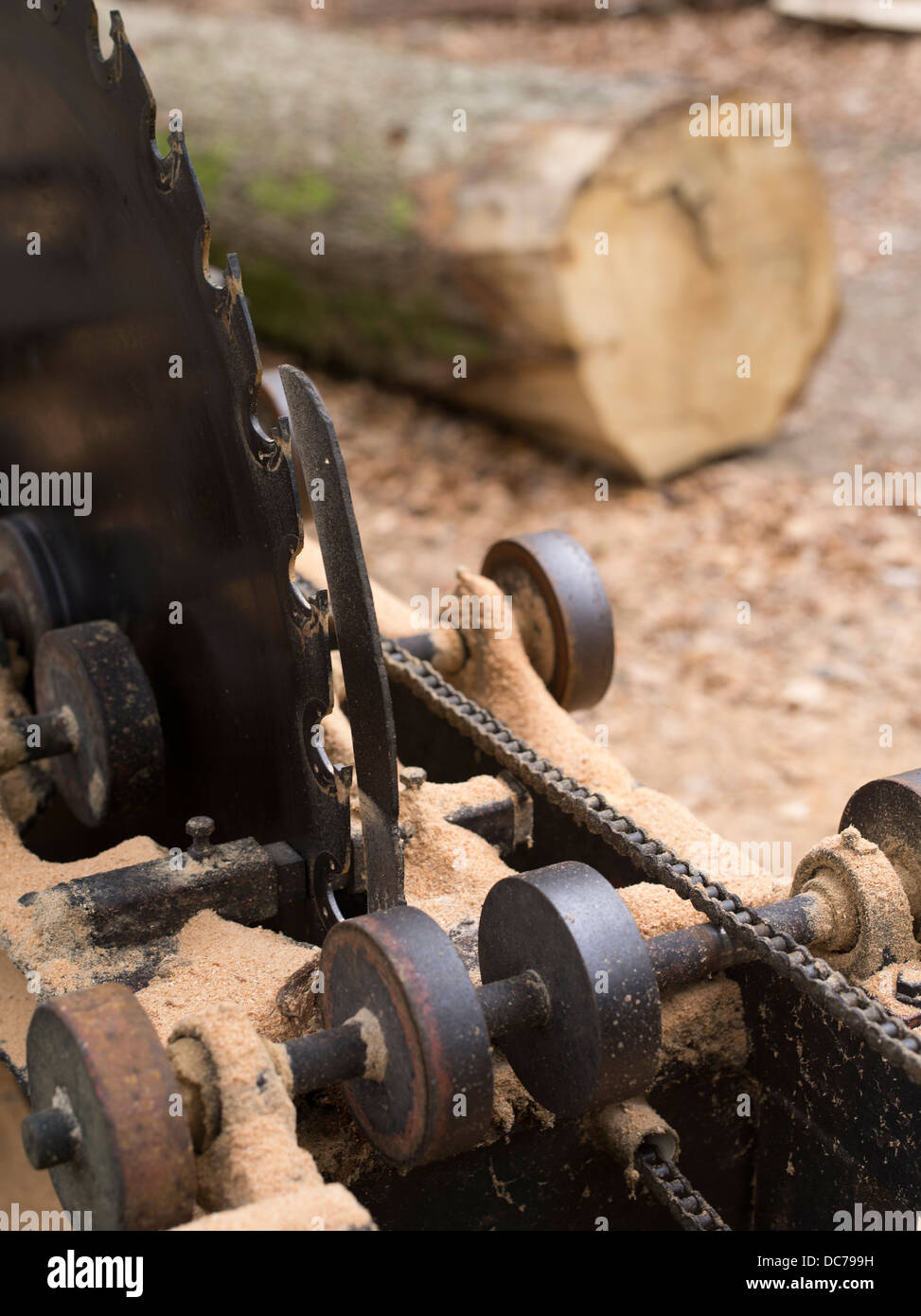 Holz Sägeblatt mit Log, Nationalpark Lake District, Cumbria Stockfoto