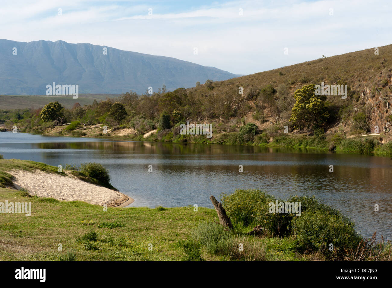 Breede River, Bontebok Nationalpark, Südafrika Stockfoto