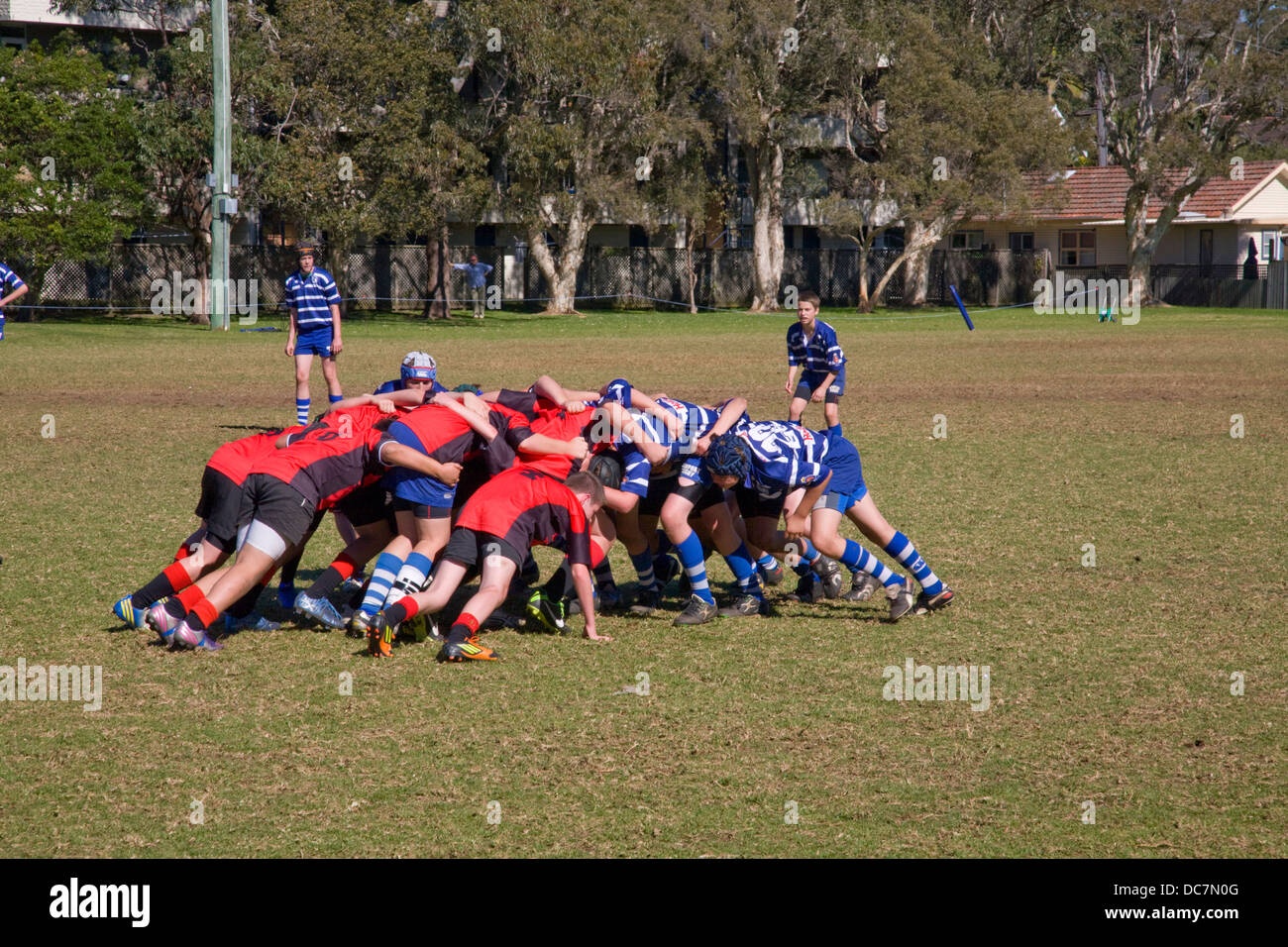 Australische Schuljungen spielen Rugby union in Newport, Sydney, Australien, während die Spieler auf dem Spielfeld einen Scrum bilden Stockfoto