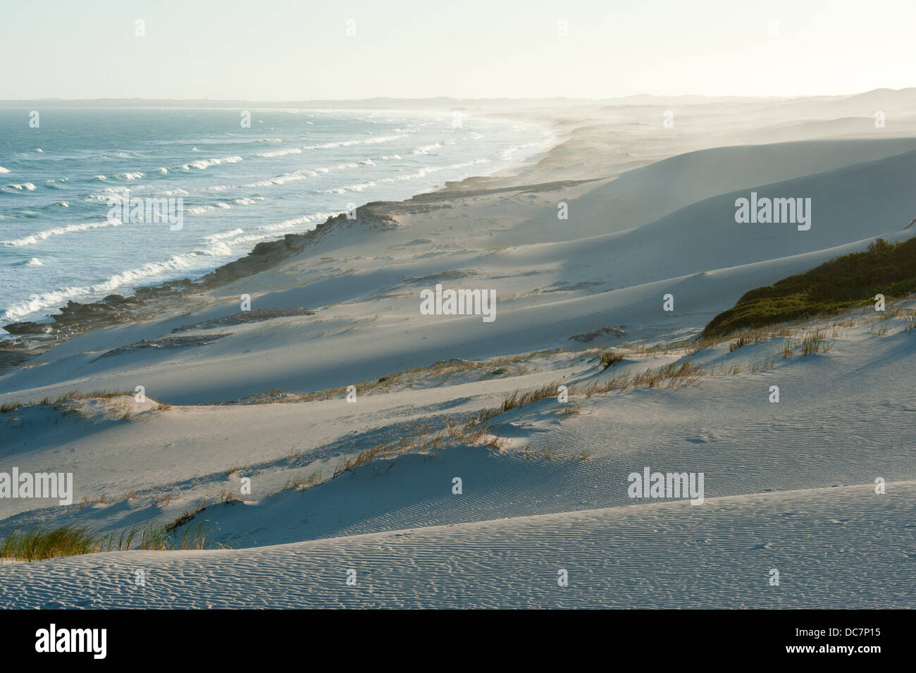 Zerklüftete Küste, De Hoop Nature Reserve, Western Cape, Südafrika Stockfoto