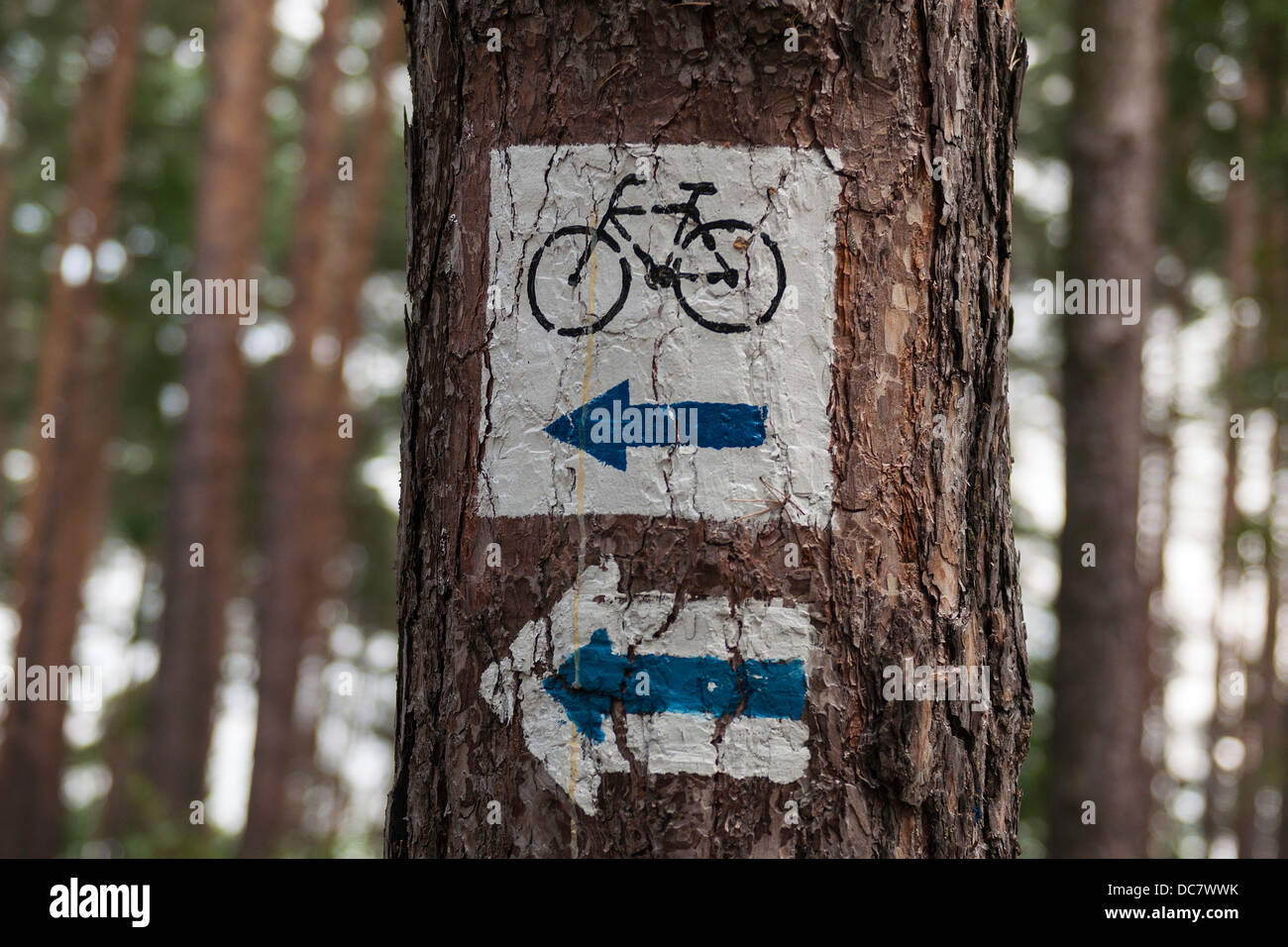 Bikepath Zeichen Pfeil nach links Stockfoto