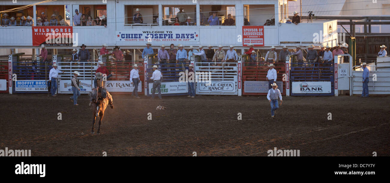 Sattel Bronc Ereignis beim Chief Joseph Tage Rodeo in Joseph, Oregon. Stockfoto