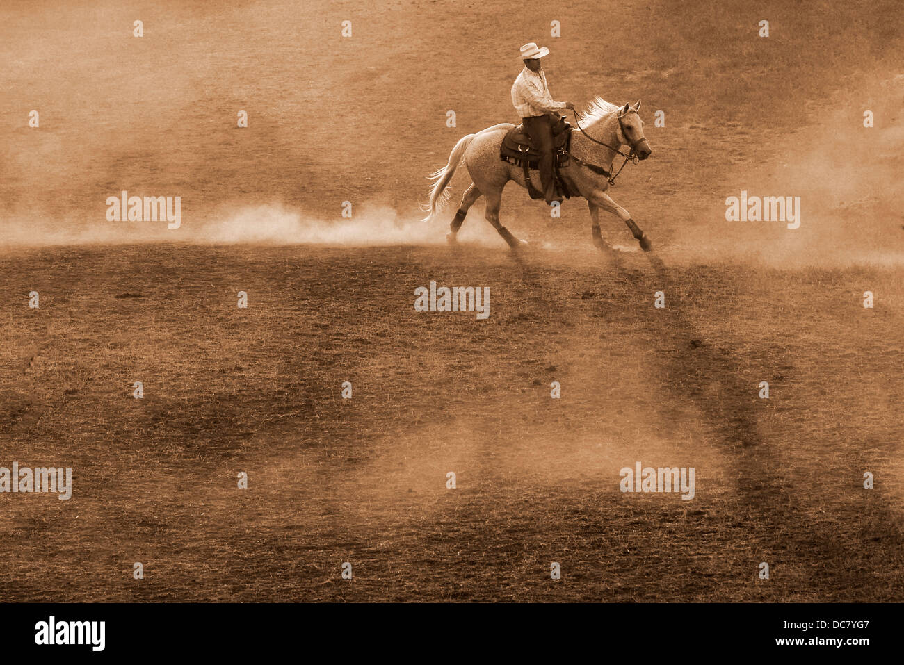 Cowboy üben vor dem Chief Joseph Tage Rodeo in Joseph, Oregon. Stockfoto