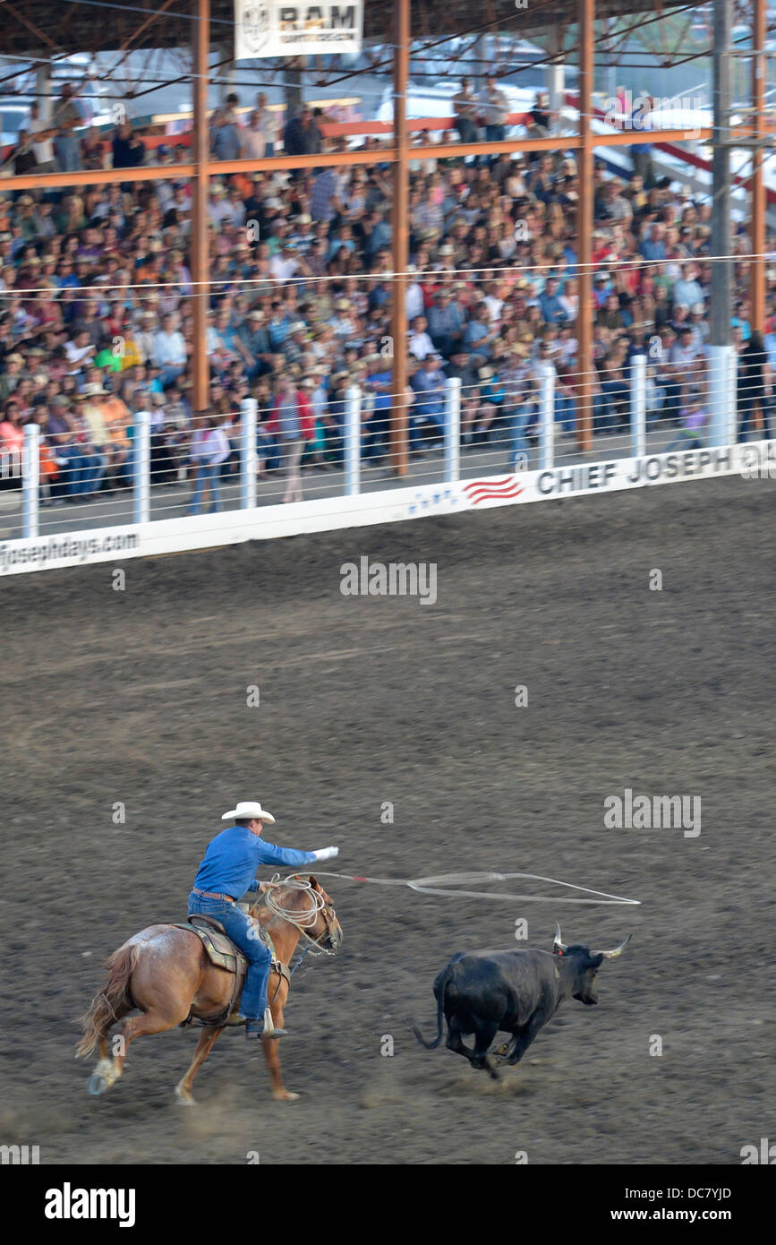 Steuern Sie Abseilen Ereignis beim Chief Joseph Tage Rodeo in Joseph, Oregon. Stockfoto