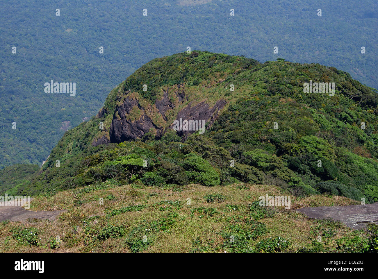 Top View of Western Ghats Hills und Wald Täler von Agastyarkoodam Mountain Peak Kerala Indien Stockfoto