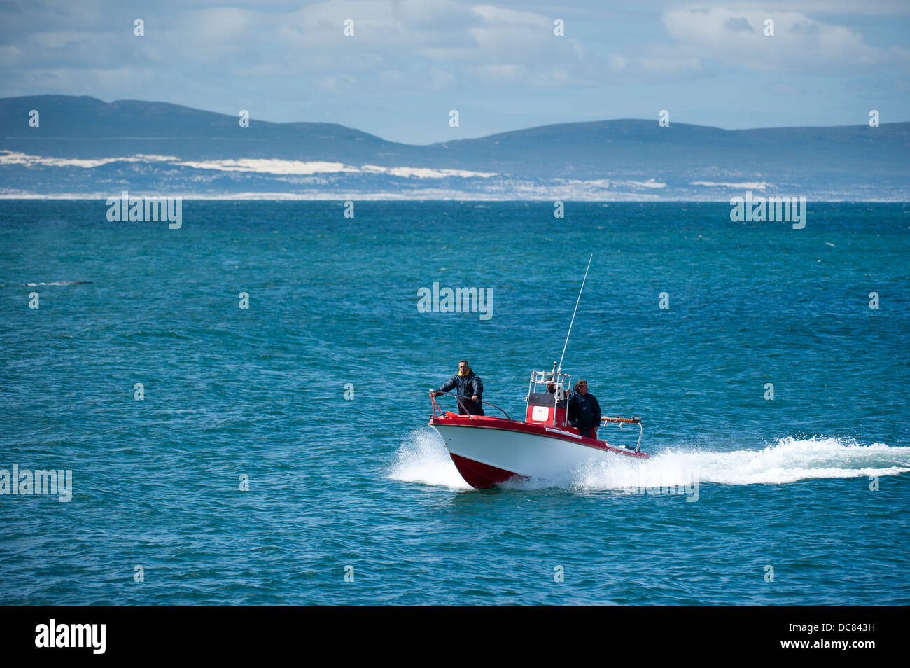 Motorboot, Hermanus, Western Cape, Südafrika Stockfoto