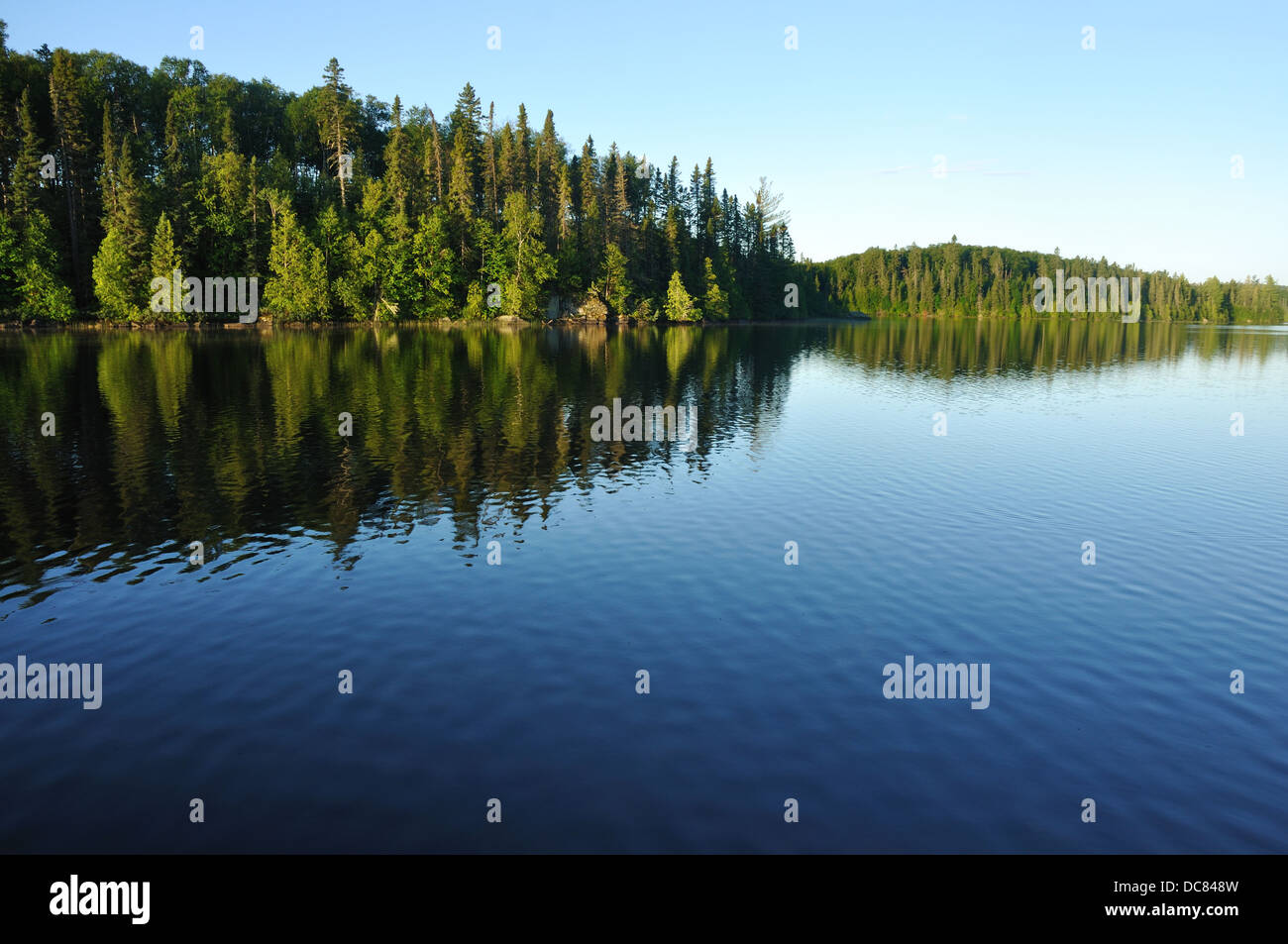 See und Wald in Grenze Gewässer Kanu-Bereich Wildnis, Superior National Forest, Minnesota, USA Stockfoto