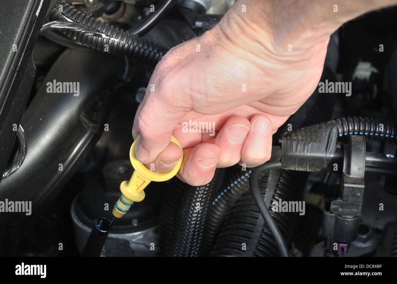 Motoröl in einem Fahrzeug prüfen Stockfoto