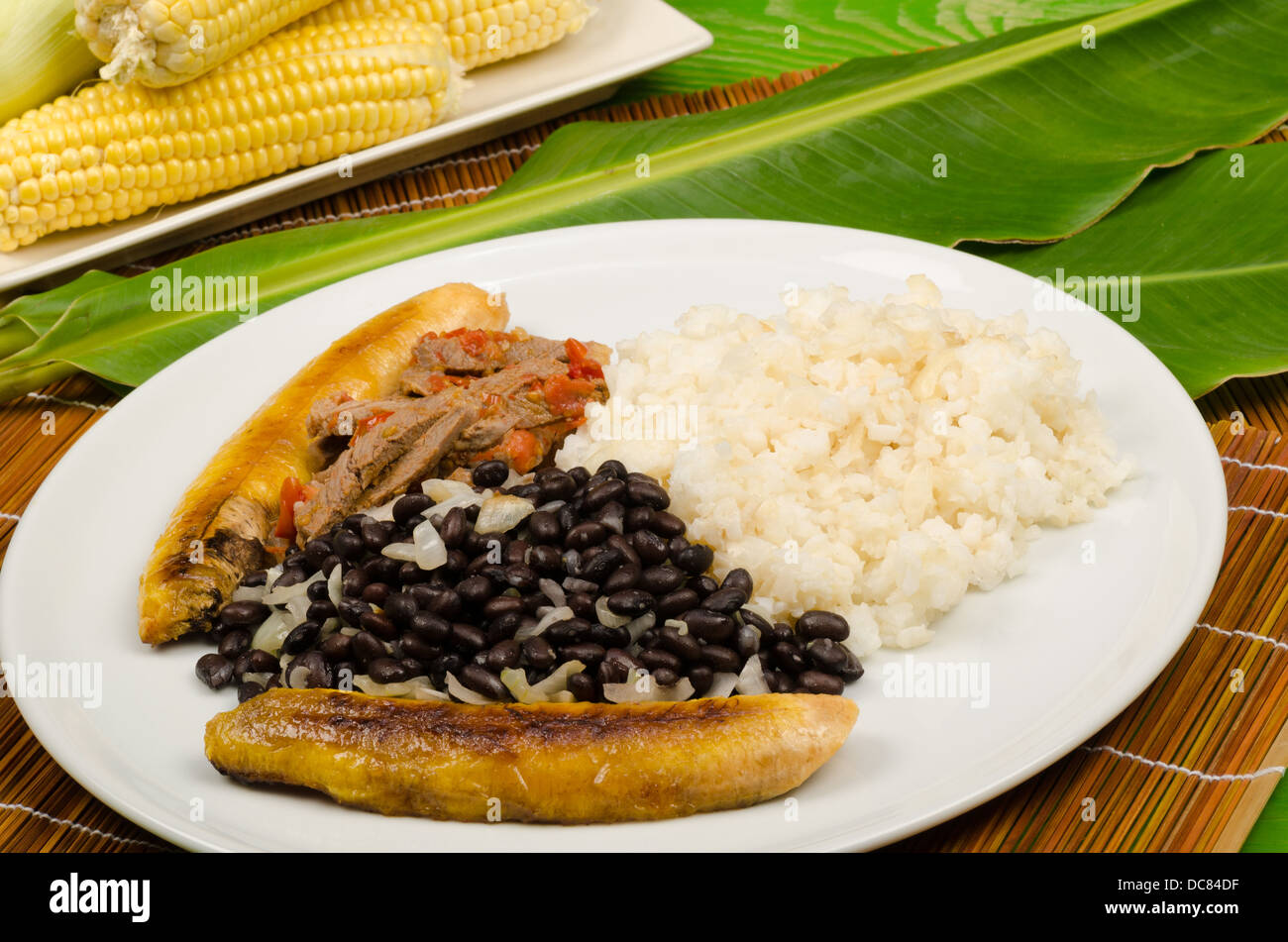 Pabellon Criollo, einem venezolanischen Klassiker sammeln einige der grundlegenden lateinamerikanischen Grundnahrungsmitteln Stockfoto