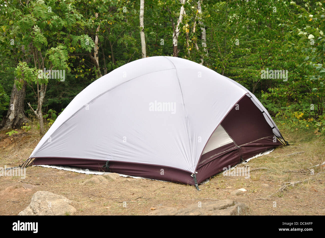 Zelt auf dem Wald Campingplatz Stockfoto