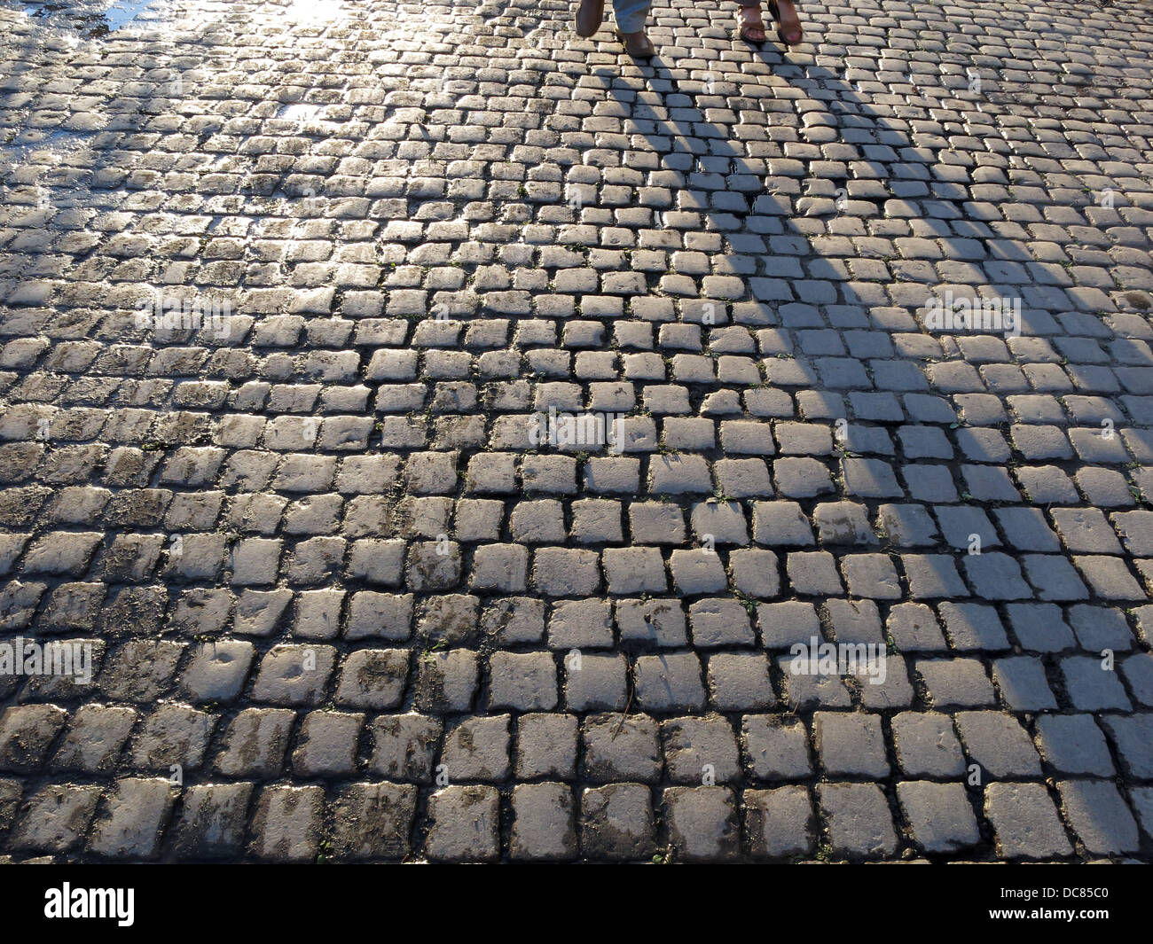 Schatten und Füße von Menschen zu Fuß auf gepflasterten Pfad neben der Themse in Richmond, London Stockfoto