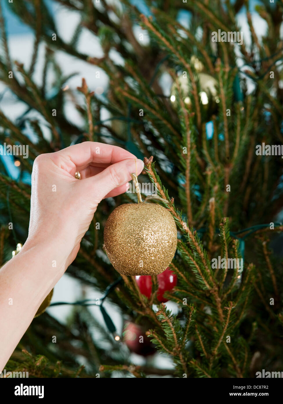 Hand, Weihnachtsdekoration auf Baum Stockfoto