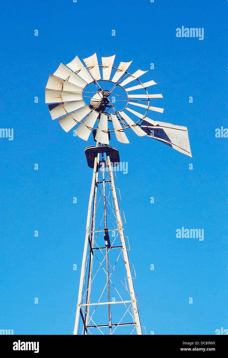 Windmühle. Fuerteventura Island, Kanarische Inseln, Spanien. Stockfoto