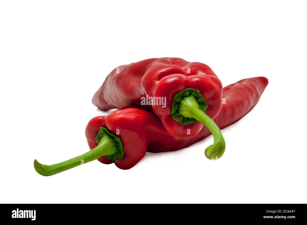 rote Paprika süßer Paprika langen weißen Hintergrund Stockfoto