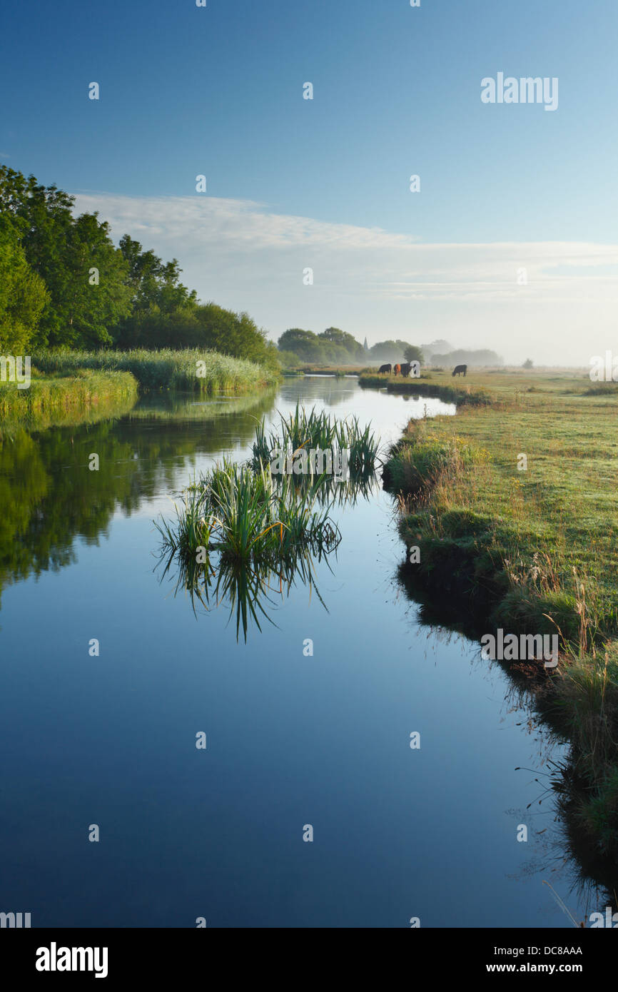 Marshcourt River (Nebenfluss des Flusses Tests) auf gemeinsame Marsh (National Trust). Hampshire. England. VEREINIGTES KÖNIGREICH. Stockfoto