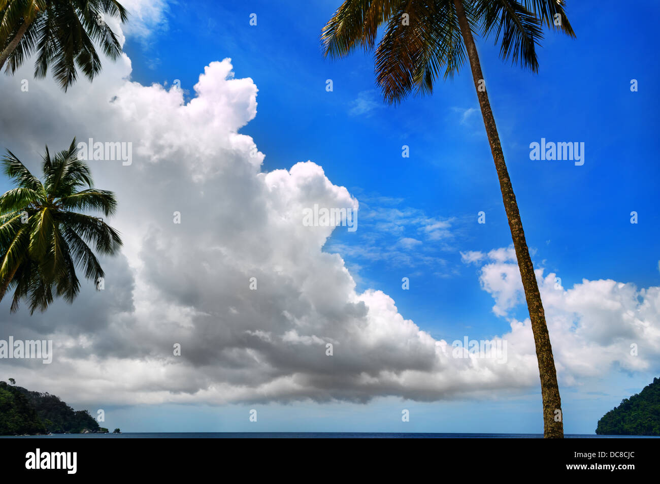 Tropischen Himmel - Trinidad und Tobago Stockfoto