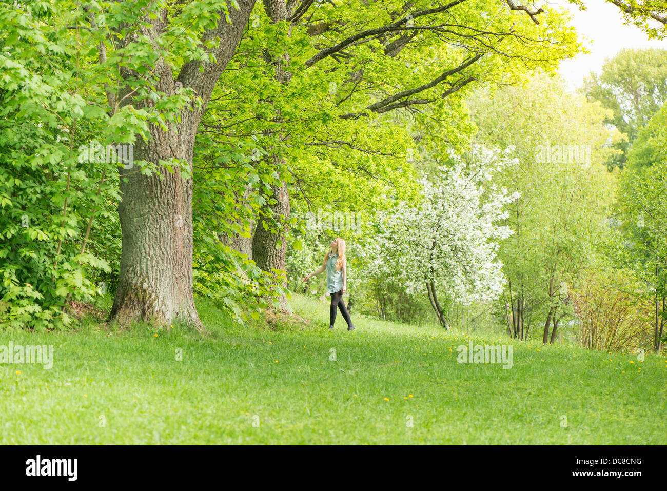Natur-Szene mit einer jungen attraktiven Frau stehend von einem Baum in einem park Stockfoto