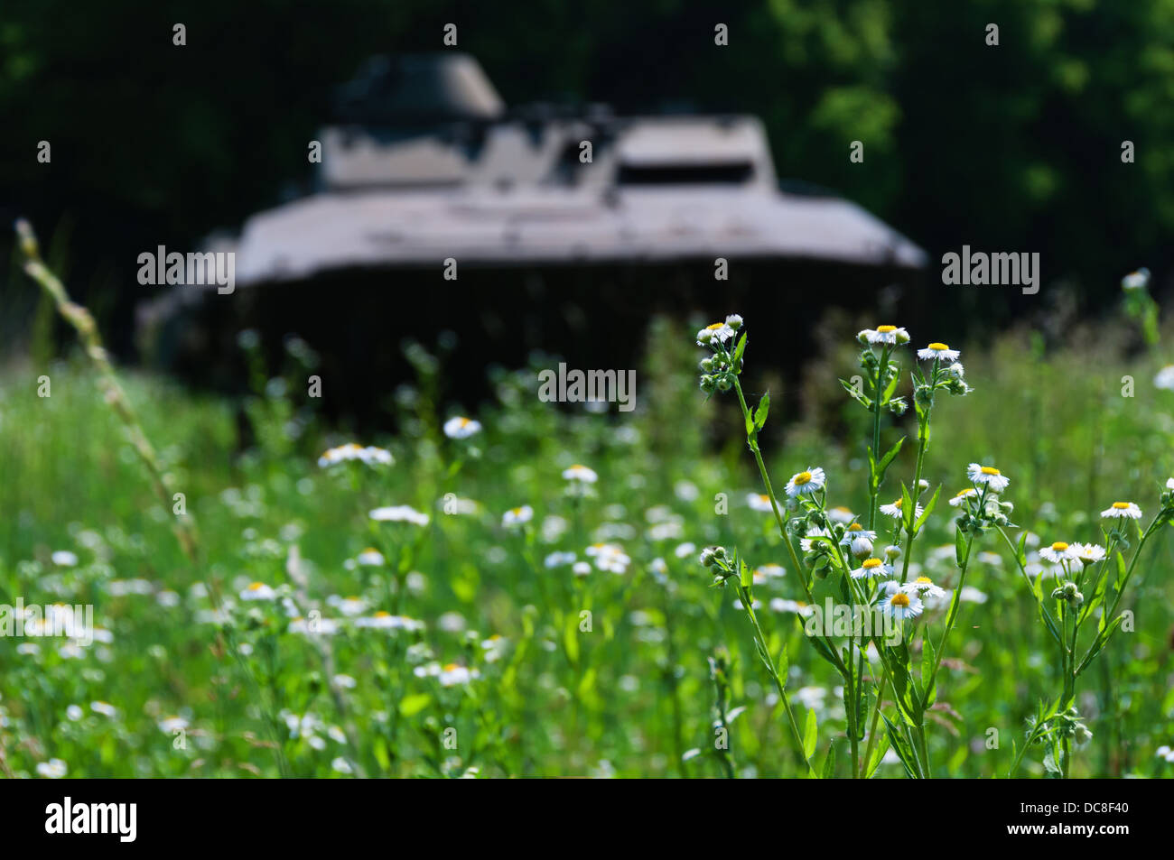 Verlassene militärische Transportflugzeuge in grünen Frieden Felder. Stockfoto