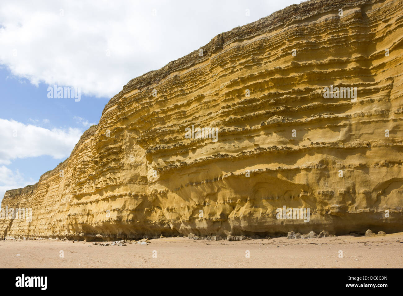 Die Felswand bei Burton Bradstock Strand Dorset Stockfoto