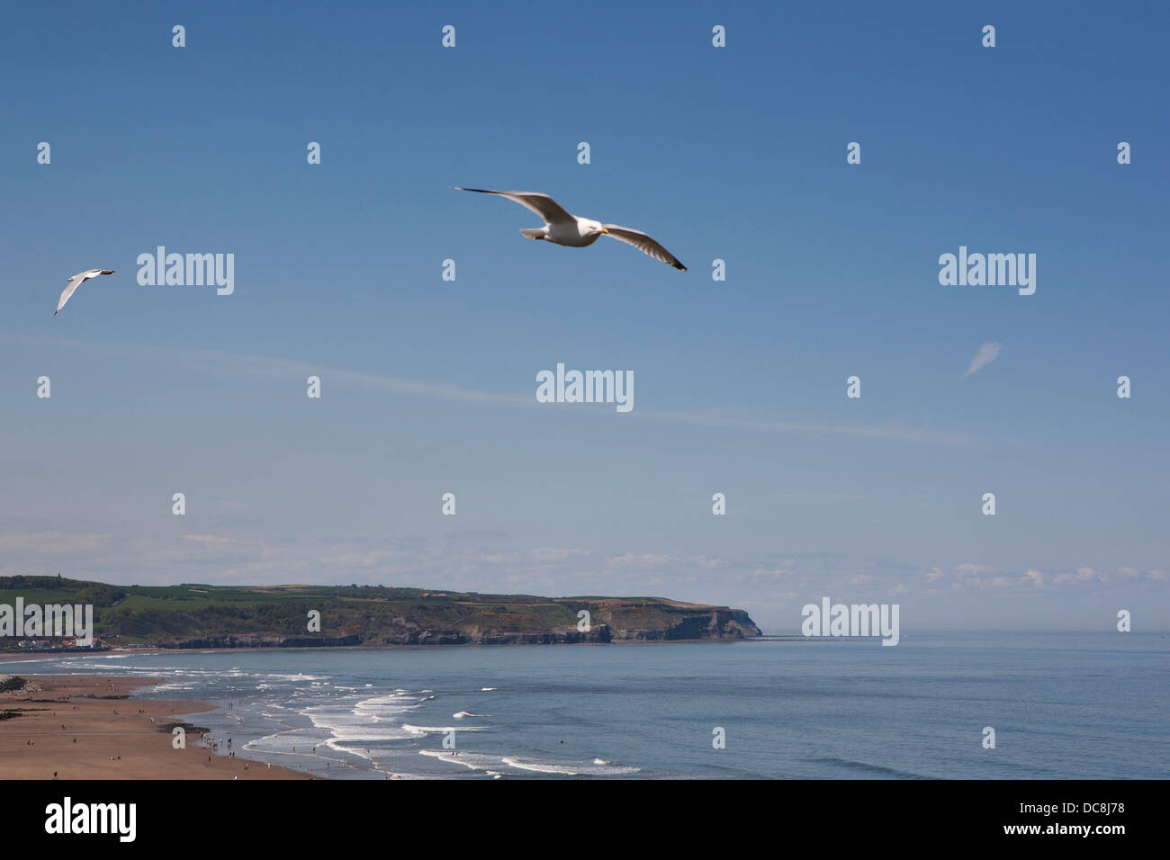 Ein Blick über Whitby Bay mit fliegenden Möwen bei strahlend blauem Himmel. Stockfoto