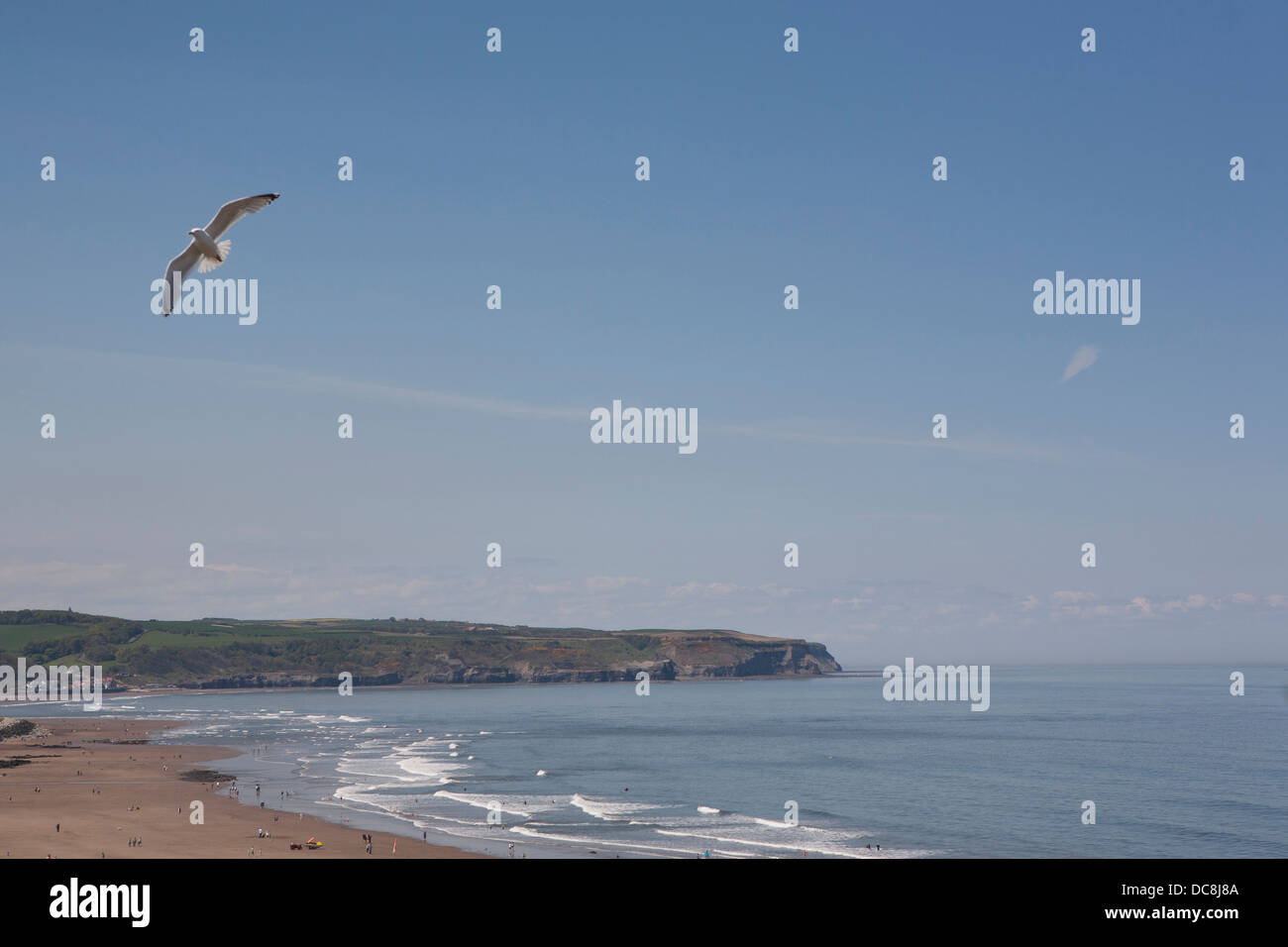 Ein Blick über Whitby Bay mit einer fliegenden Möwe bei strahlend blauem Himmel. Stockfoto