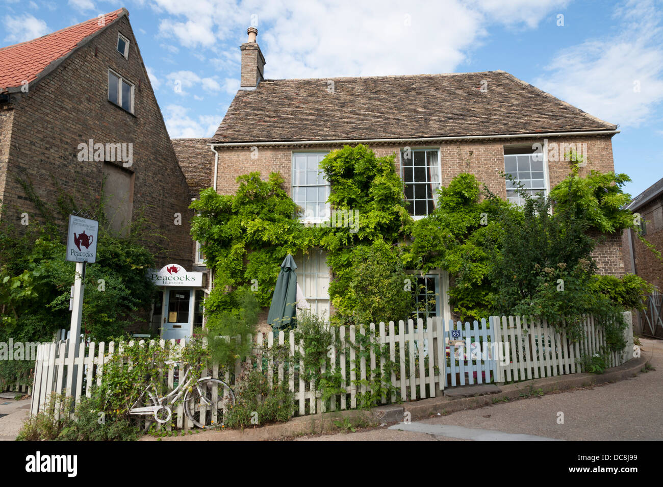 Pfauen-Tee und Kaffee-Restaurant und Café Ely Cambridgeshire UK Stockfoto