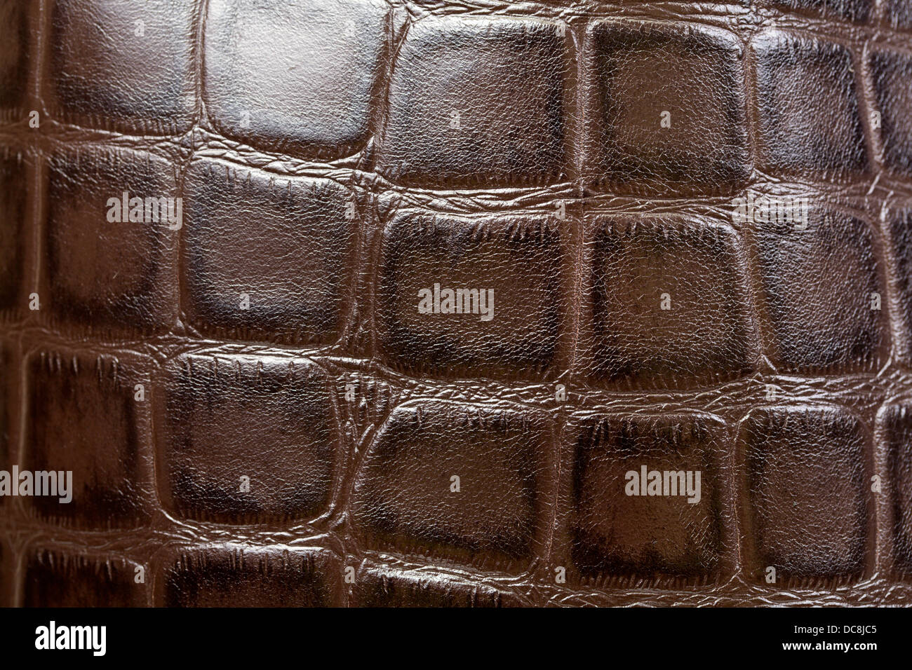 Krokodil oder Alligator Felle braunen Hintergrund Stockfoto