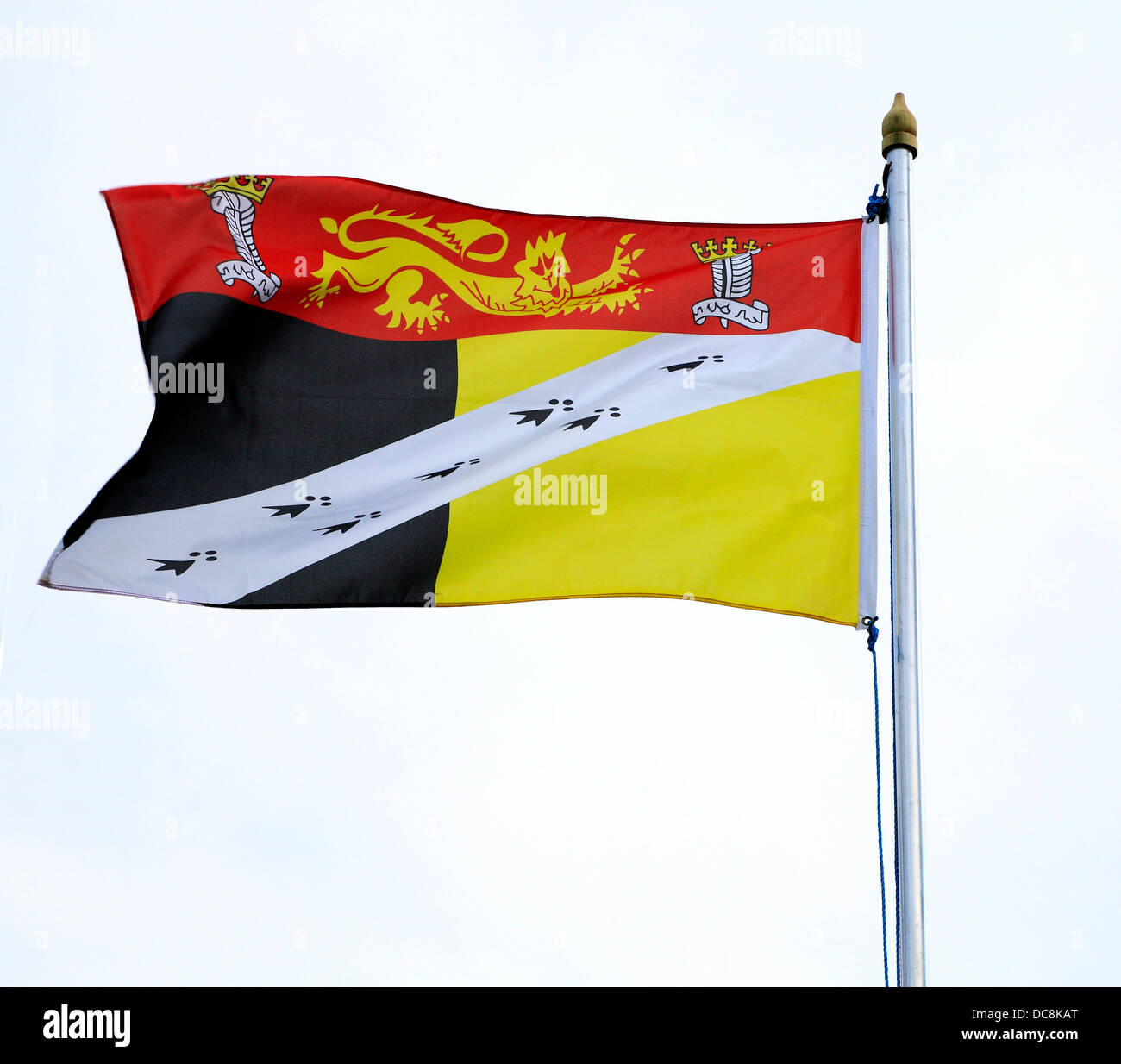 Norfolk County Flagge England UK englische regionale Flaggen Stockfoto