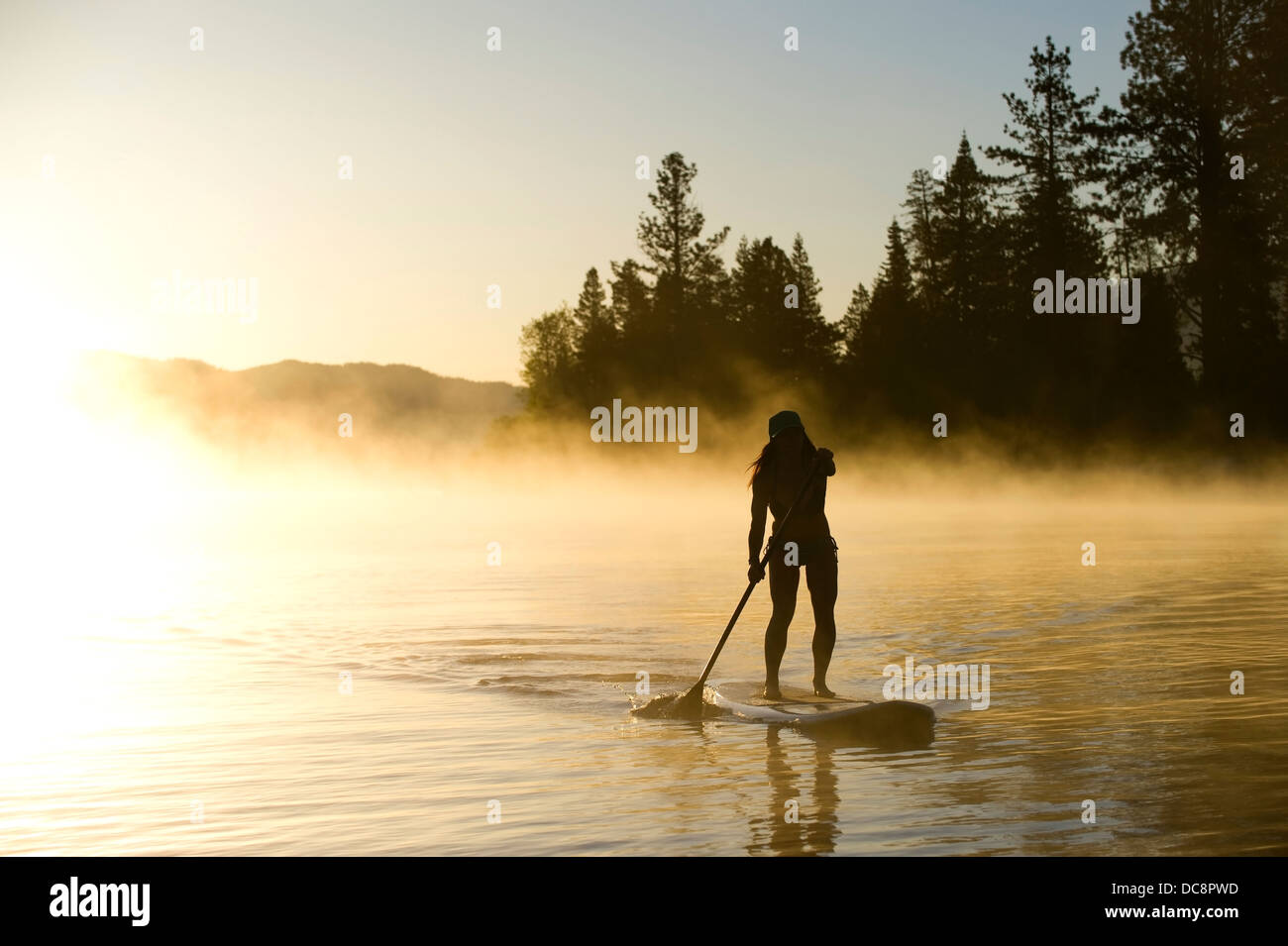 Eine Frau ist Silhouette Stand Up Paddling (SUP) bei Sonnenaufgang im Nebel in Lake Tahoe, Kalifornien. Stockfoto