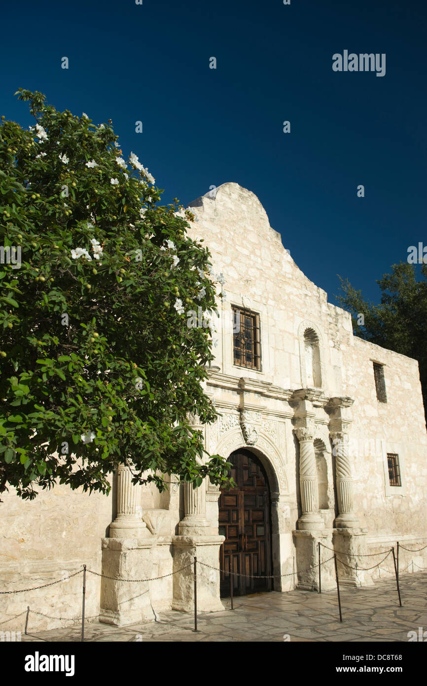 ALAMO MISSION SAN ANTONIO DE VALERO ALAMO PLAZA DIE INNENSTADT VON SAN ANTONIO TEXAS USA Stockfoto