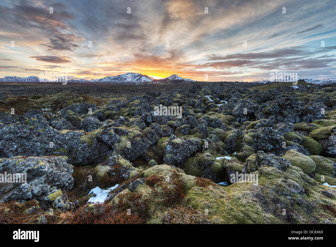 Sonnenaufgang über ein altes Lavafeld auf der Snaefellsness-Halbinsel; Island Stockfoto