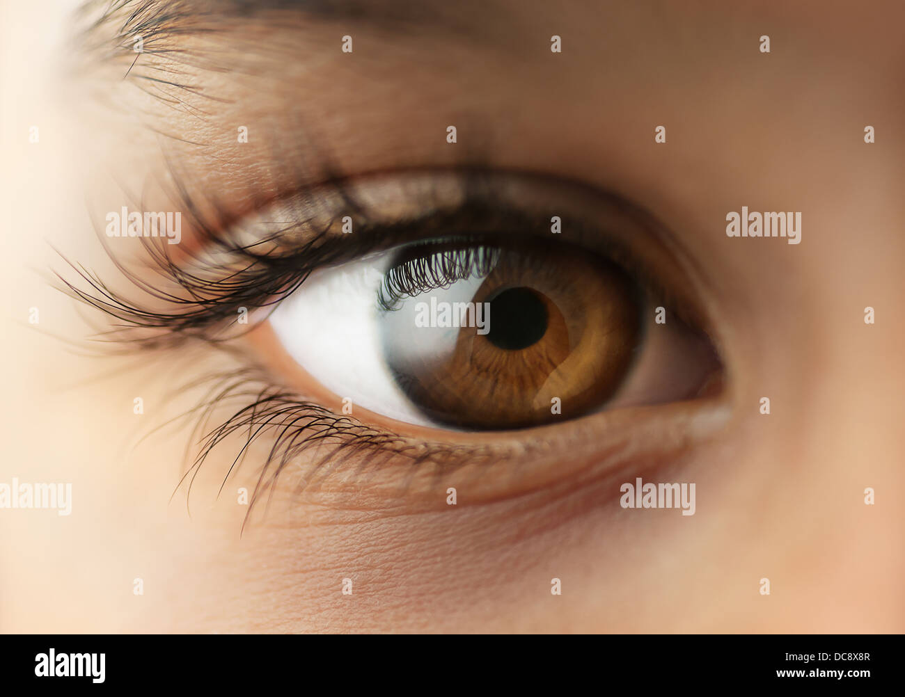 Menschliche Auge des Kindes - Makro - Nahaufnahme Stockfoto