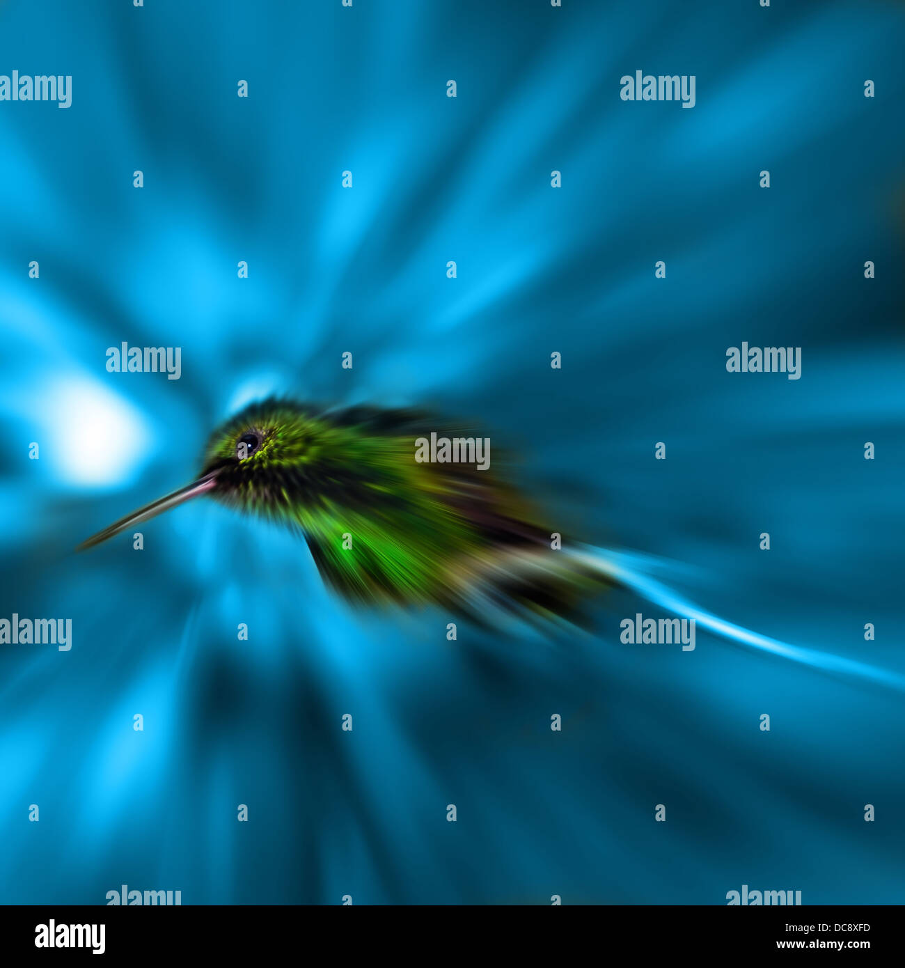 Humming Bird Zoom verwischt grün blau Stockfoto