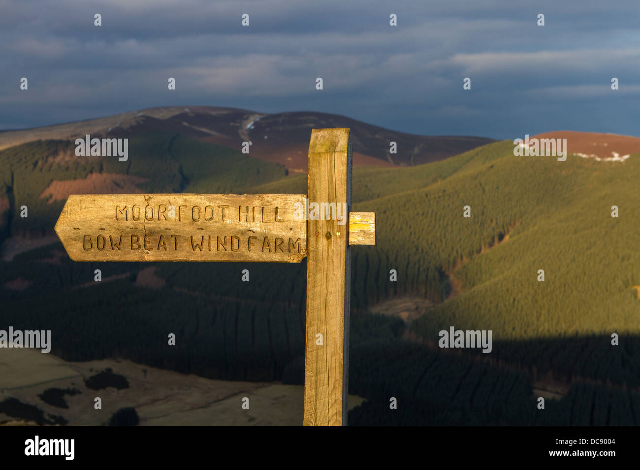 Stall auf Lee Penn, Tweed Valley Stockfoto