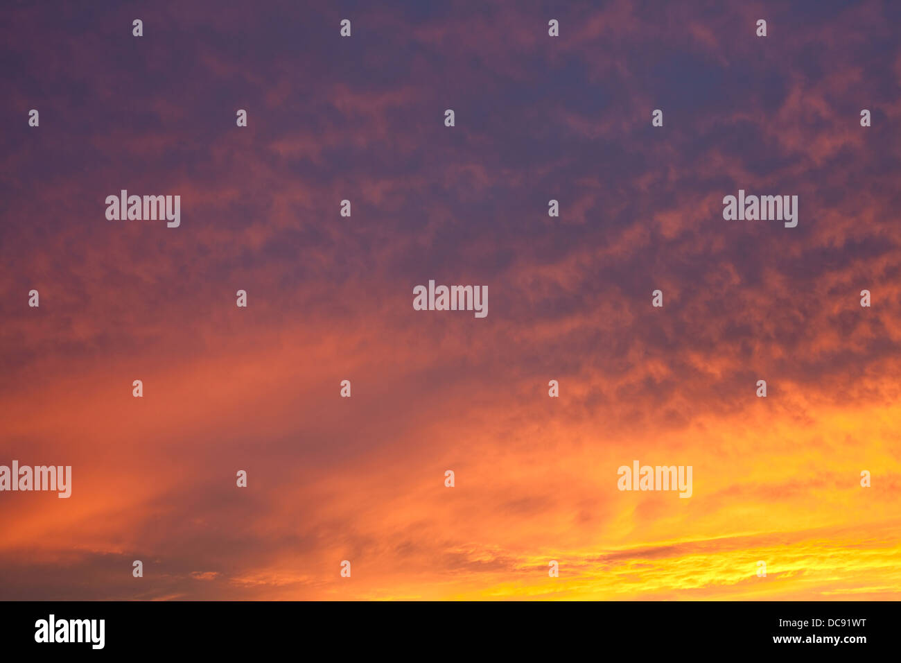 Spannendes Licht bei Sonnenuntergang, Oakville, Ontario, Kanada. Stockfoto