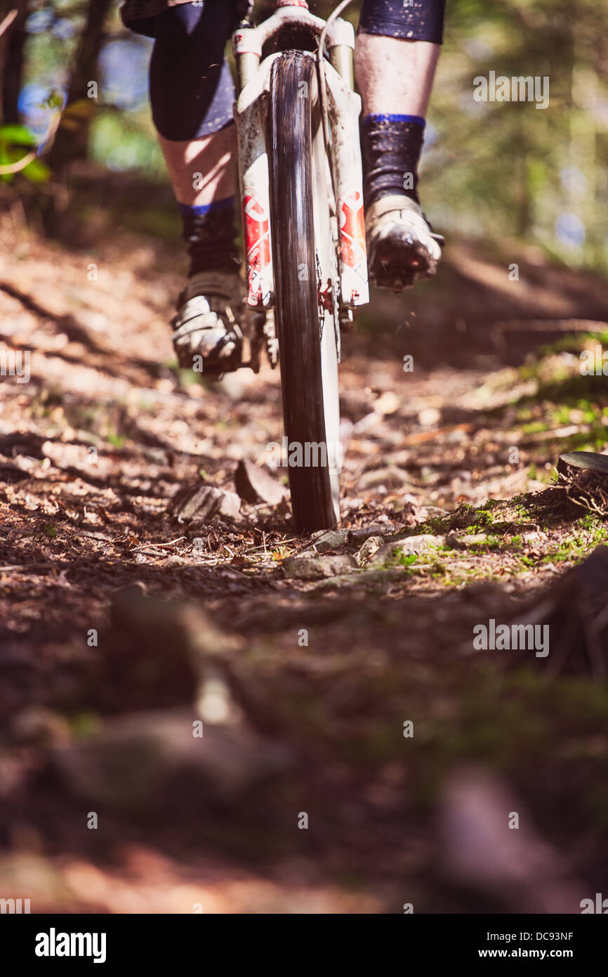 Low-Fotografie eines Mannes Reiten eine Mountain Bike bergab in Richtung der Kamera Stockfoto