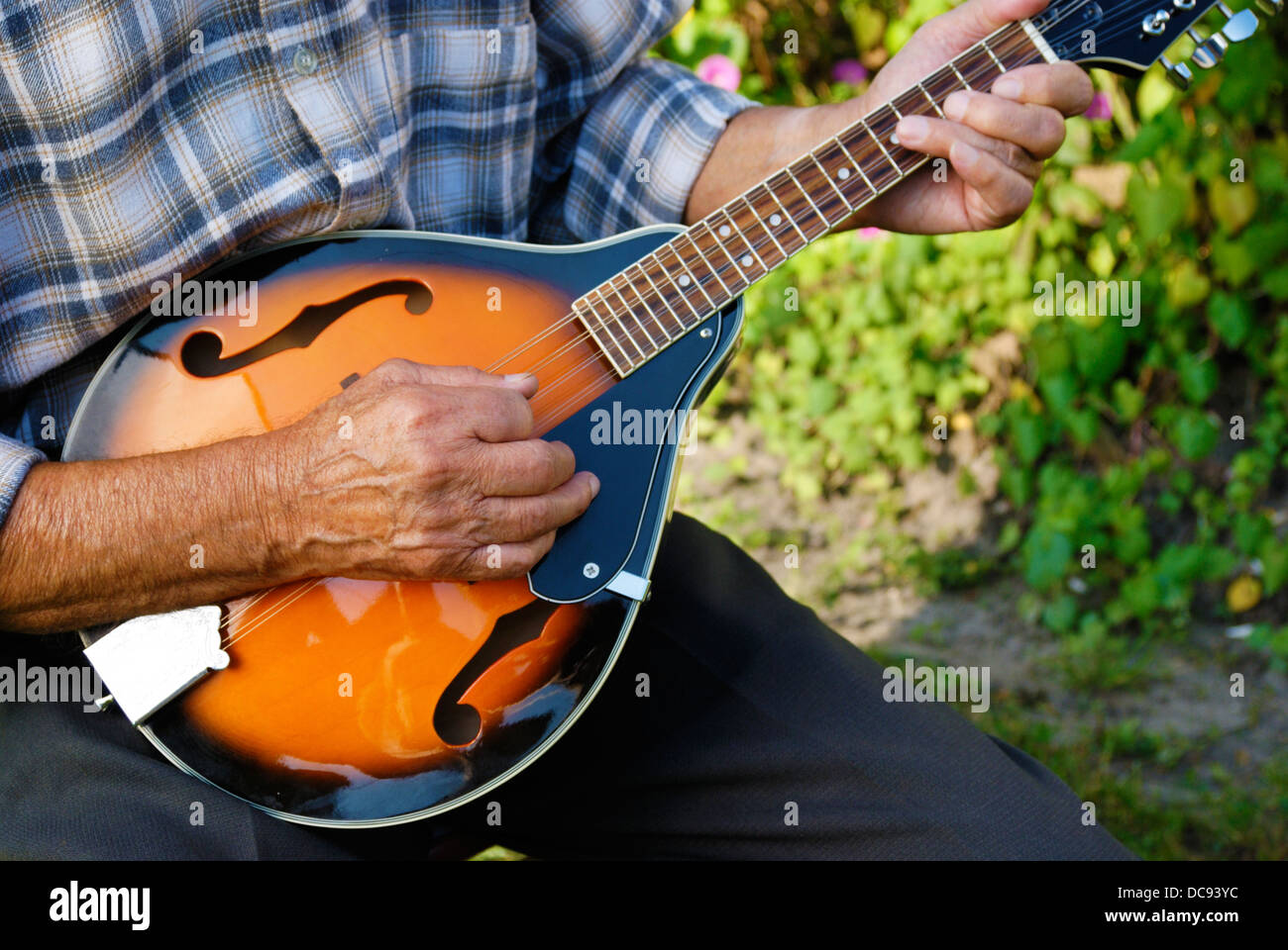 Ältere Mann spielt Mandoline außerhalb auf grünem Hintergrund Stockfoto