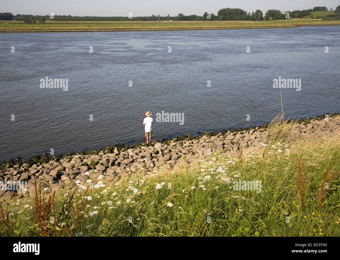 Mann Angeln Fluss Nieuwe Maas Alblasserdam Niederlande Stockfoto