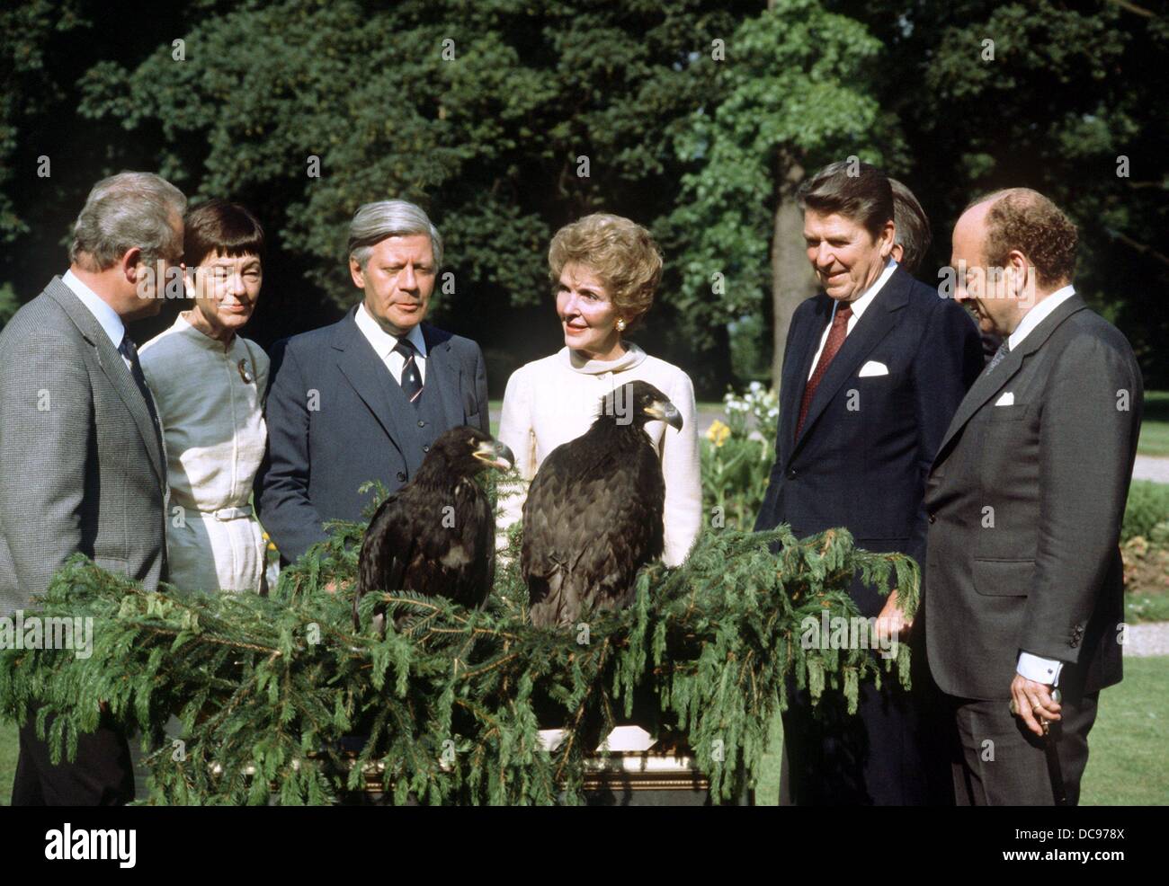 Otto Graf Lambsdorff, US-Präsident Ronald Reagan, First Lady Nancy Reagan, Bundeskanzler Helmut Schmidt und seine Frau Hannelore Schmidt (R-l) haben einen Blick auf ein paar American Eagle die Reagan und seine Frau während Reagans als Geschenk erhielt Besuch in Deutschland am 9. Juni 1982. Stockfoto