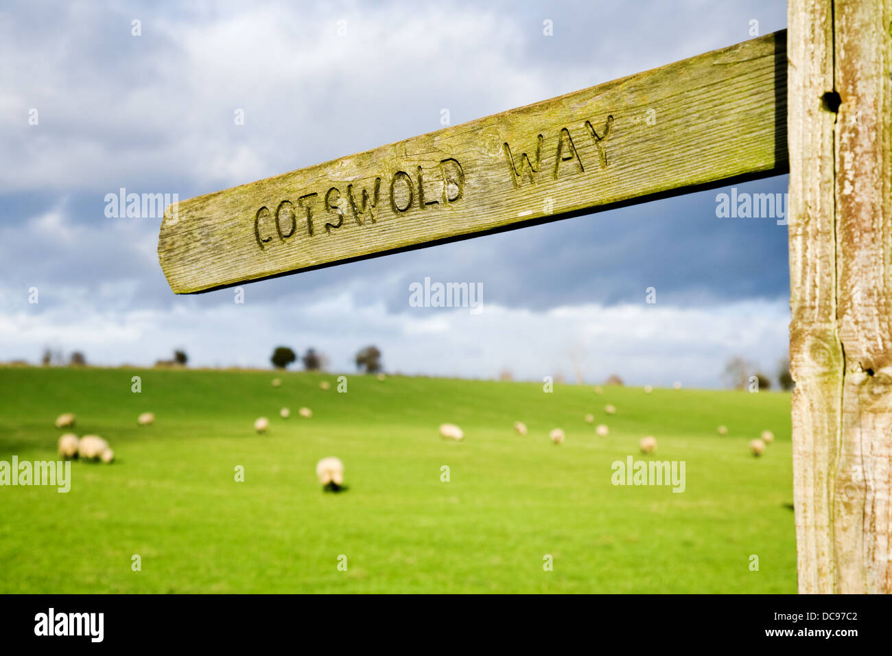 Wanderweg Zeichen für den Cotswold Weg in England, UK. Stockfoto