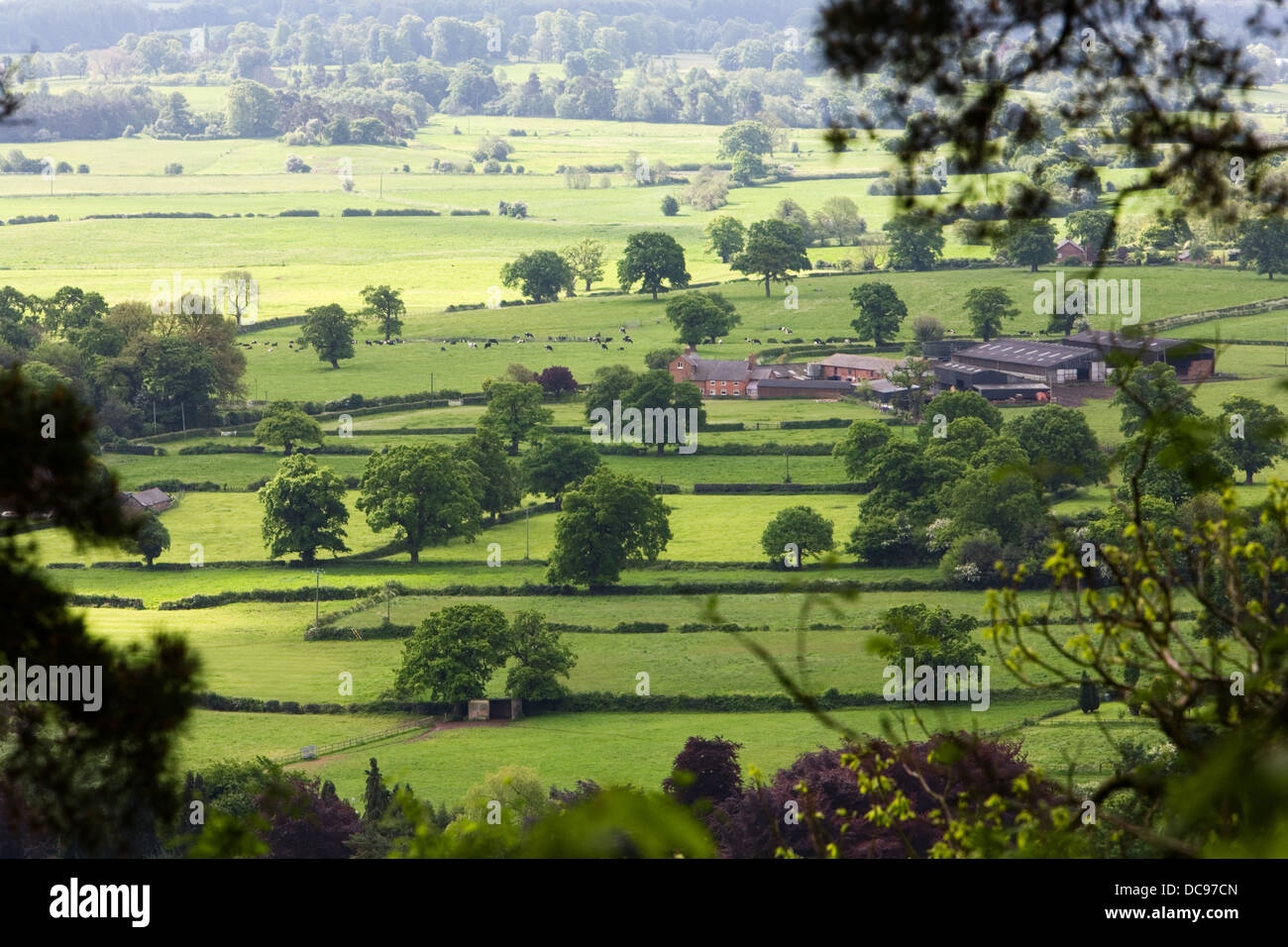 Bauernhof mit den umliegenden Wiesen in Cheshire, England, UK. Stockfoto